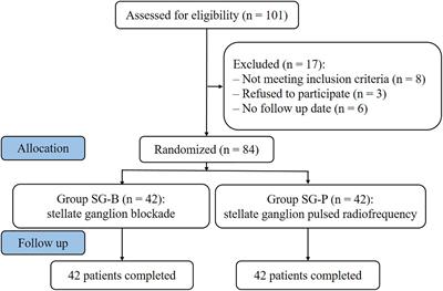 CT-Guided Stellate Ganglion Pulsed Radiofrequency Stimulation for Facial and Upper Limb Postherpetic Neuralgia